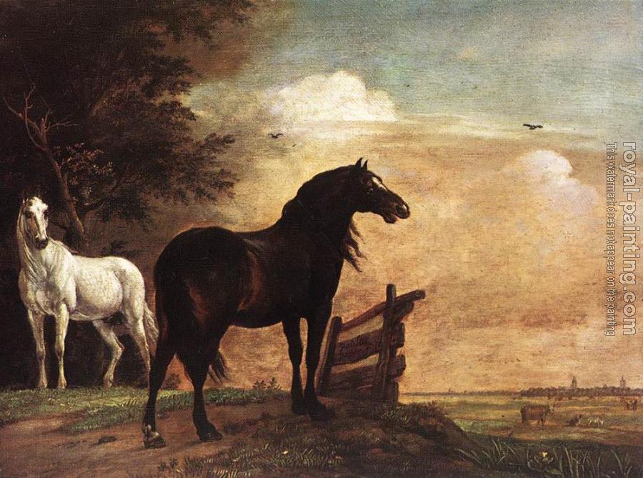 Paulus Potter : Horses In A Field